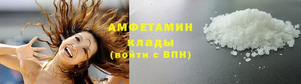 твердый Краснослободск