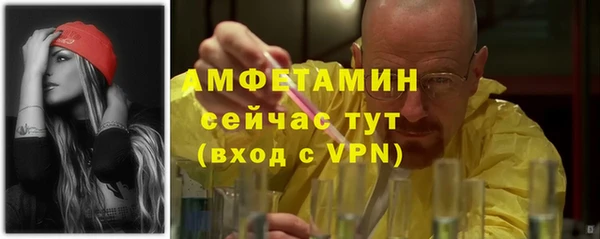 твердый Краснослободск