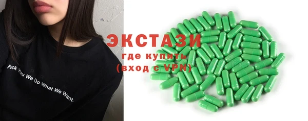 твердый Краснослободск