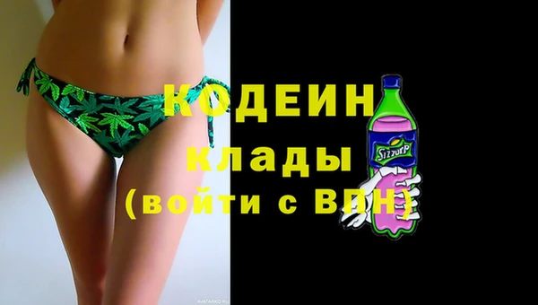 твердый Краснослободск