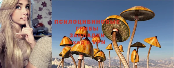 твердый Краснослободск