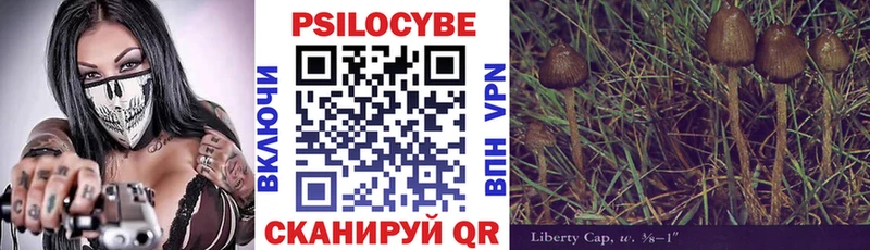 дарнет шоп  Старый Оскол  Псилоцибиновые грибы Psilocybine cubensis 