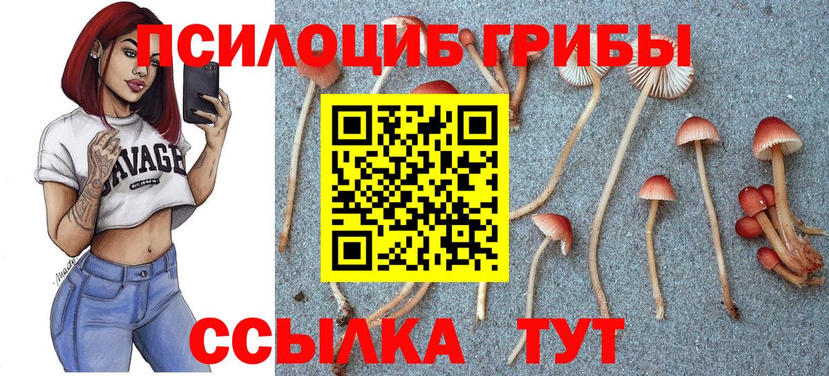 Псилоцибиновые грибы Magic Shrooms Старый Оскол