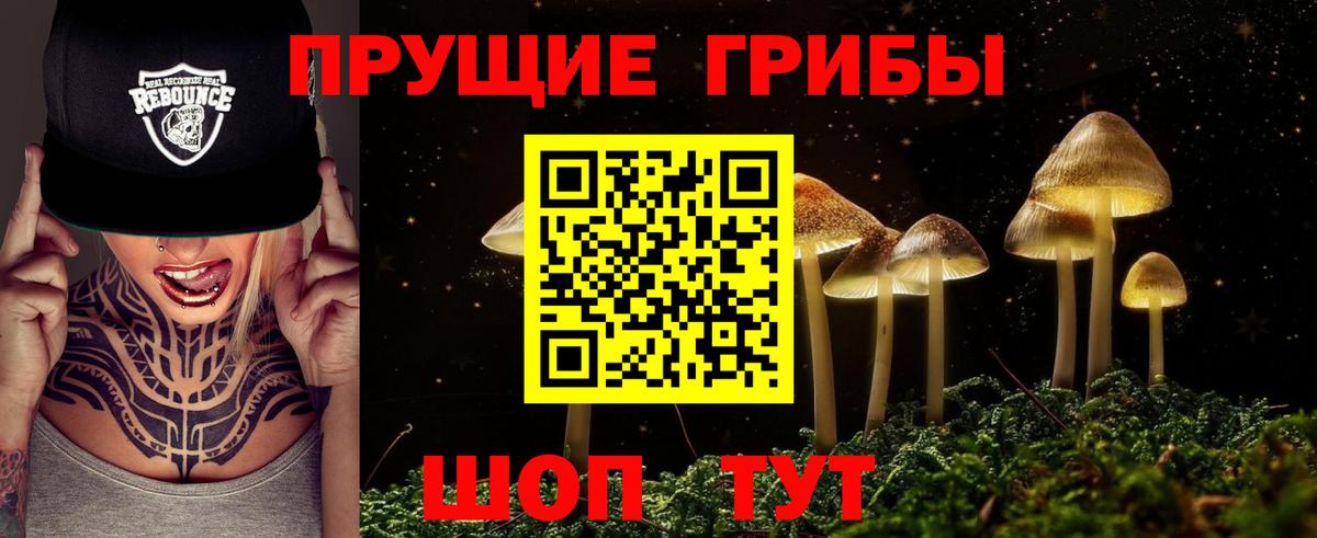 Псилоцибиновые грибы GOLDEN TEACHER  Вход с VPN  Старый Оскол 